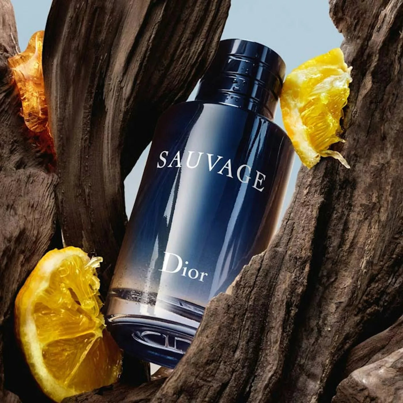 Dior Sauvage Eau de Toilette Spray Men's Perfume (100ml)